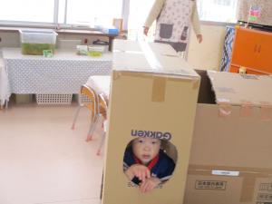 段ボールで遊ぶ