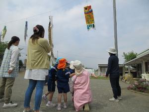 こいのぼり4