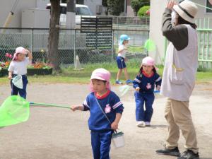 虫取り②