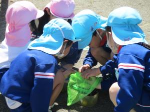 虫取り③