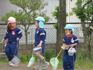 虫取り②