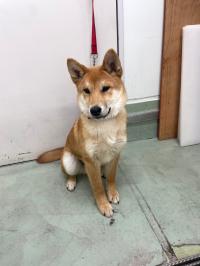 けんた 正面写真1
