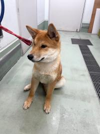 けんた 正面写真2