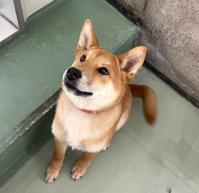 けんた 正面写真4
