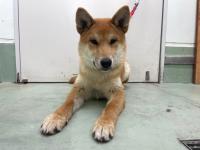 けんた 正面写真3