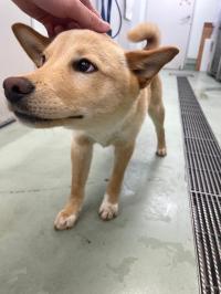かんた　正面写真3