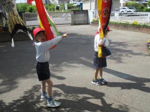 こいのぼりねこいのぼりね