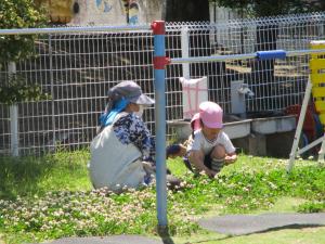 花摘み