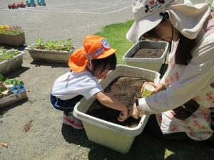 種まき3