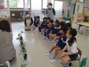どの野菜を植える？