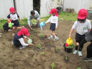 大きくなれ