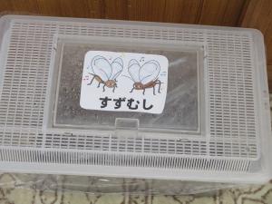 鈴虫①