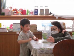 アゲハの観察③