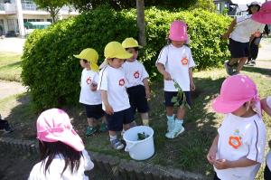 ５