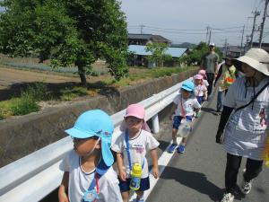 道路を歩く