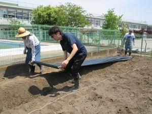 さつまいも準備3