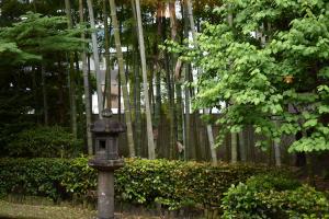 竹林と灯篭