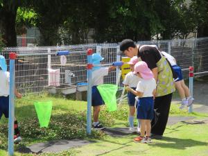 虫取り②