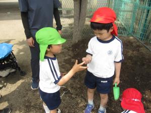 幼虫