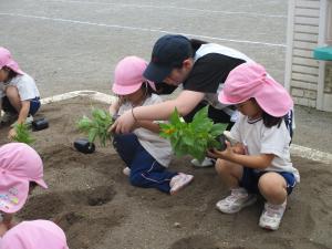 年中花植え②