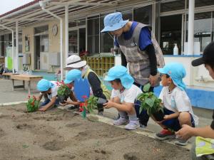 年長花植え①