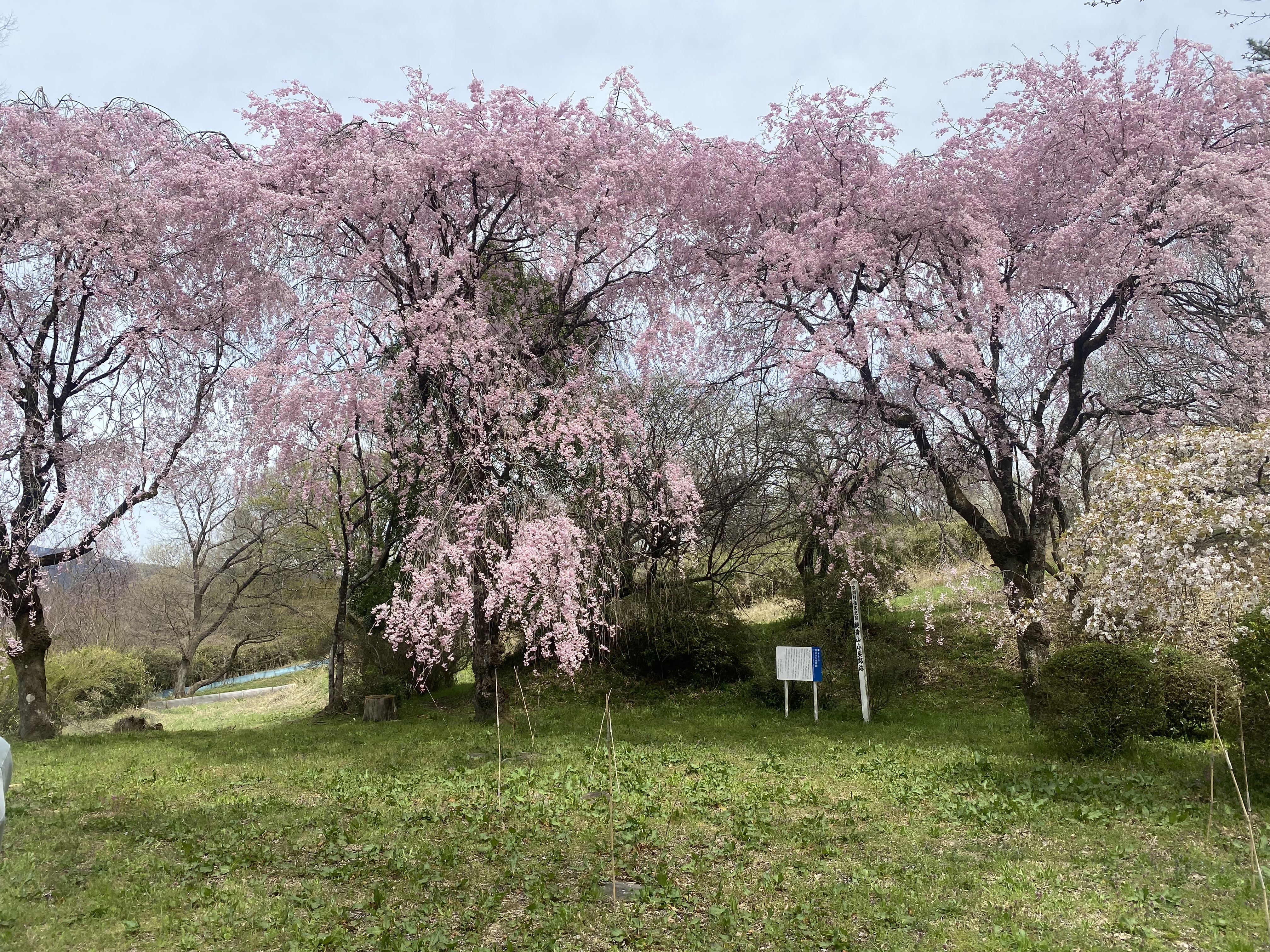 観音山小栗邸跡の写真