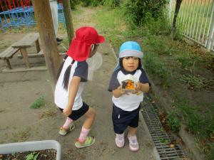 ここ