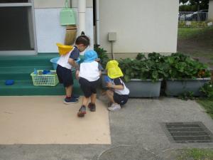 ここは