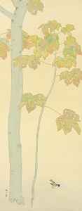 菱田春草《梧桐ニ小禽》1909年頃 寄託作品