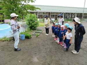 田植え1