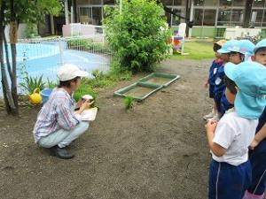 田植え2
