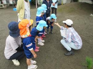 田植え3