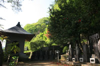 東善寺2　a4284の画像