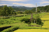 小栗上野介慰霊碑　a8826の画像
