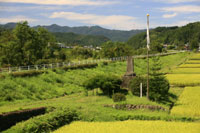 小栗上野介慰霊碑　a8826の画像