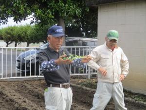 なえ