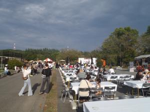 machion8