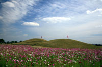 上毛野はにわの里公園　a0105の画像