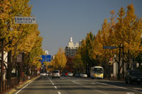 市街地道路　a0169の画像