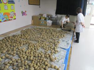 じゃがいも①