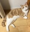 フィル　写真２