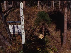 高芝学校跡の画像