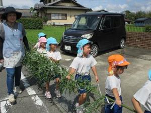 竹取り5