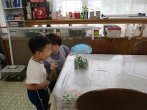 アゲハの幼虫