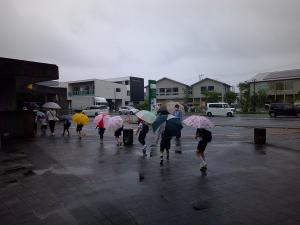 雨