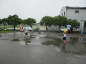 みずたまり