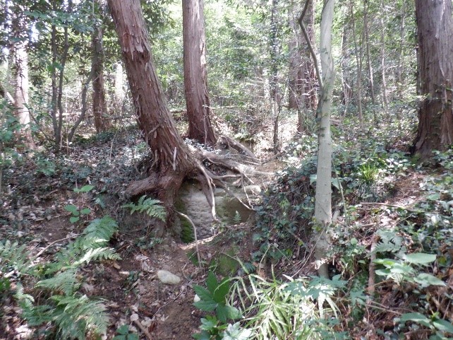 山ノ上西古墳石室入口の写真