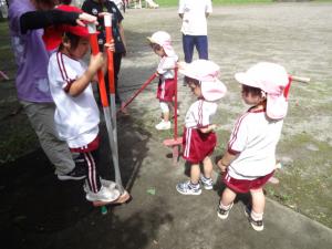 bamboo4