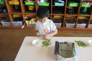 枝豆の鞘剥きの様子５