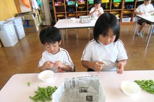枝豆の鞘剥きの様子８
